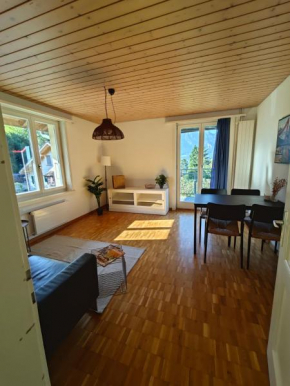 NEB-Thun Appartment 3